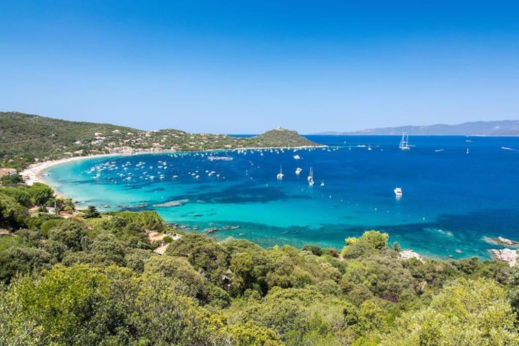 Appartamento T2 D'exception 100m Terrasse Vue Et Montagnes Propriano (Corsica)