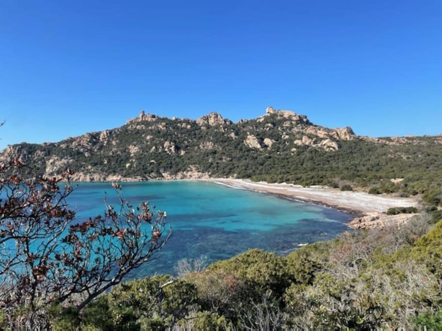 T2 D'exception 100m Terrasse Vue Et Montagnes Propriano (Corsica)