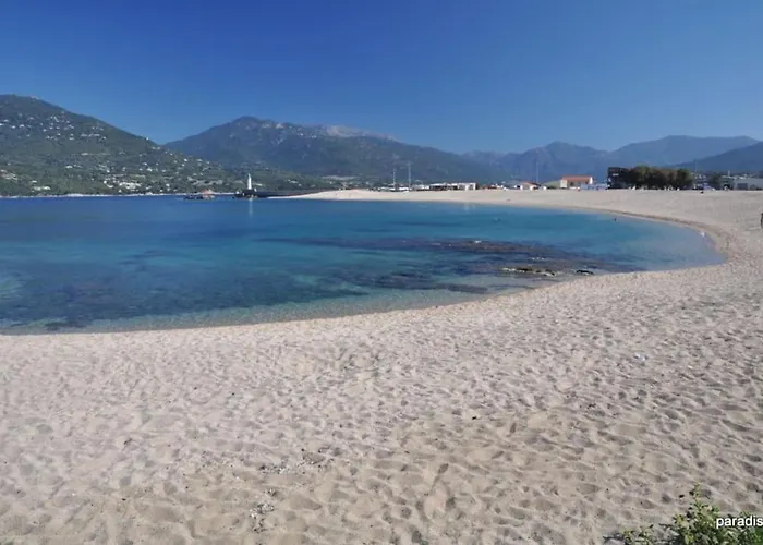 T2 D\'Exception 100M Plage Terrasse Vue Mer Et Montagnes