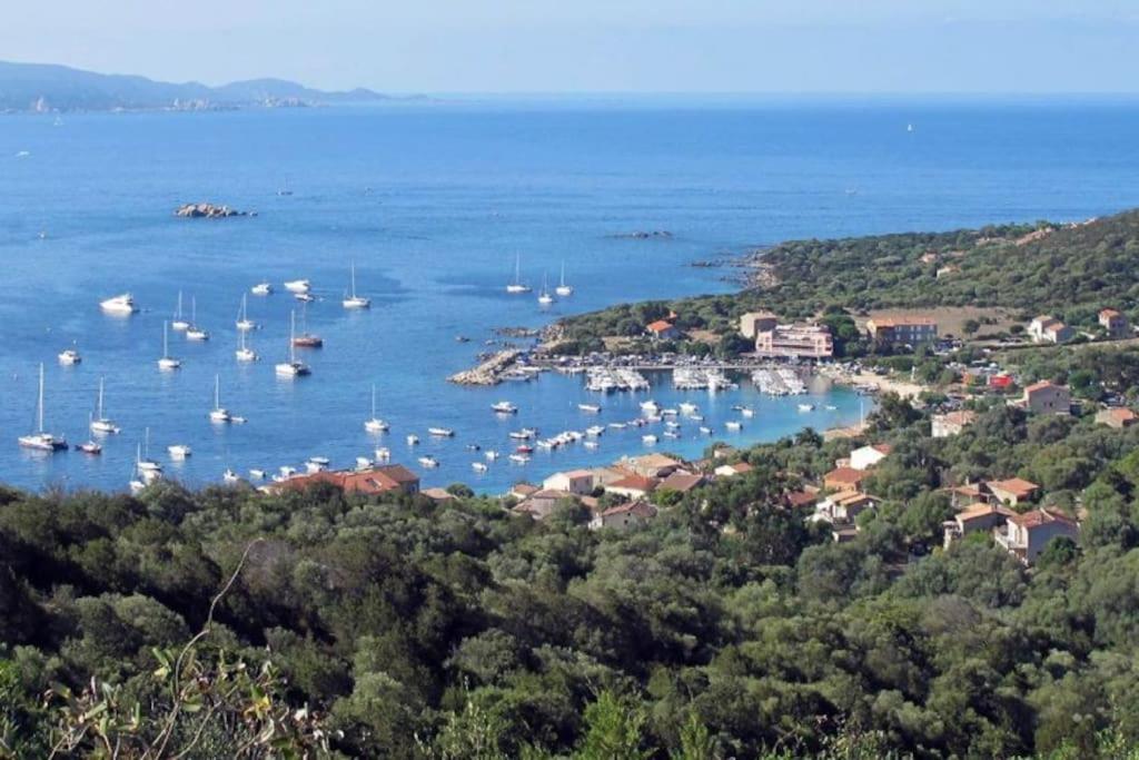 T2 D'exception 100m Terrasse Vue Et Montagnes Apartment Propriano (Corsica)